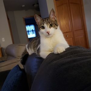 Meet your Posher, Sharon